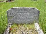 image of grave number 662789